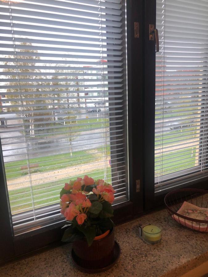 קמי Studio In The City Center Free Private Parking מראה חיצוני תמונה